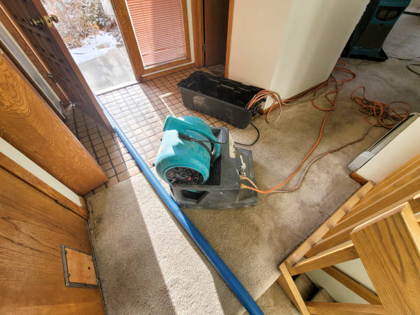 Best Fire Damage Restoration  in Le Mars, IA