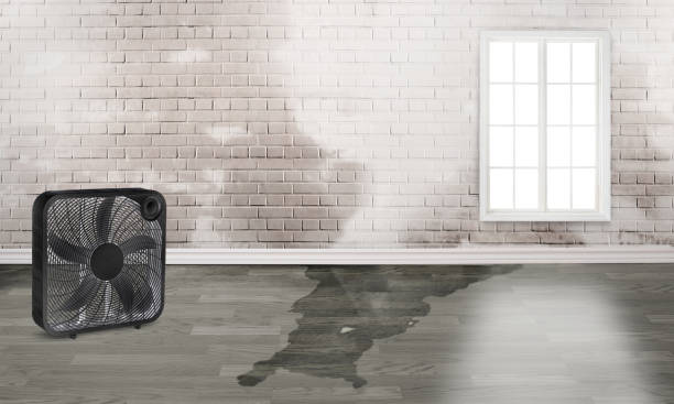 Best Commercial water damage restoration  in Le Mars, IA