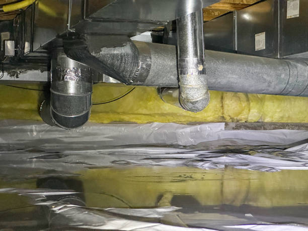 Best Flood restoration services  in Le Mars, IA
