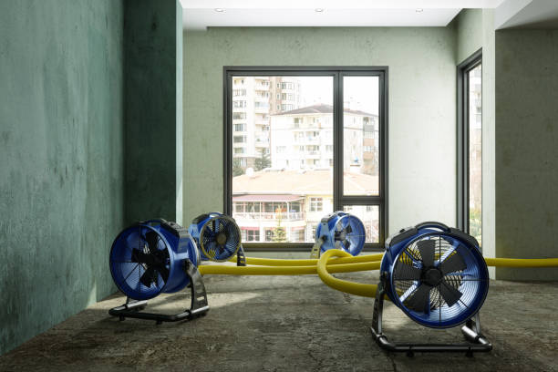Best Emergency water damage restoration  in Le Mars, IA
